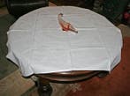 Tafelkleed (4) - 105 cm - 116 cm - damast empire stijl, Antiek en Kunst