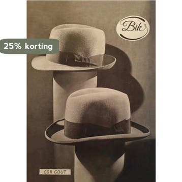 Bik - Cor Gout 9789493214217, Verzenden, Gelezen, Cor Gout