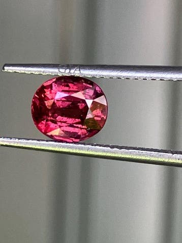1 pcs Rood Robijn - 2.01 ct - Gemological Institute of, Nieuw
