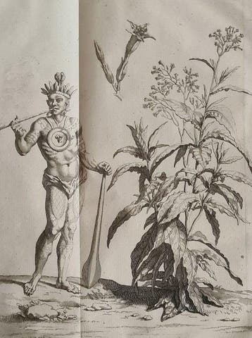 Noel Chomel en Jacques Alexandre de Chalmot - Algemeen