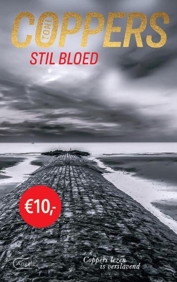 Stil bloed / Liese Meerhout / 5 - Toni Coppers 9789022336328, Verzenden, Gelezen, Toni Coppers