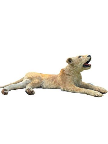 Leeuw Taxidermie volledige montage - Panthera Leo - with, Nieuw