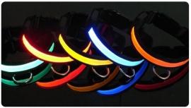 Honden halsband LED verlichting S/M/L/XL *7 kleuren*, Verzenden, Nieuw