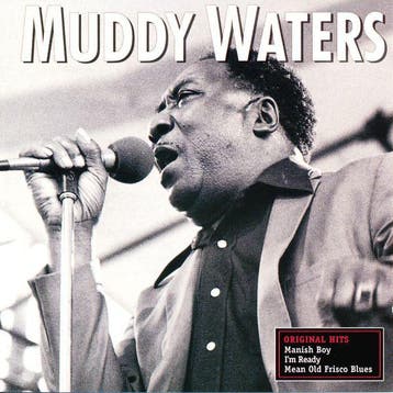 cd - Muddy Waters - Original Hits, Verzenden, Zo goed als nieuw