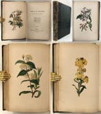 Mrs William Hey (Rebecca Hey) - The Moral of Flowers,, Antiek en Kunst