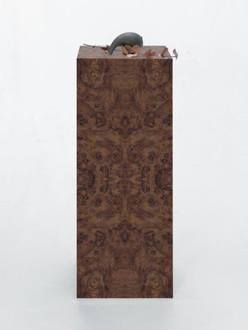 Kolom - Formaminima - 2026 - Burlwood Plinth RE02