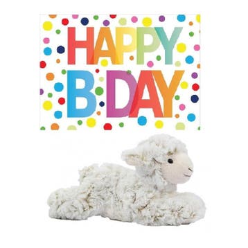 Pluche lammetje knuffel - 22 cm - met verjaardagskaart, Verzenden, Nieuw