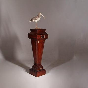 Zeer hoge zuil of pedestal in notenhout met zwart en goud No, Antiek en Kunst, Ophalen of Verzenden