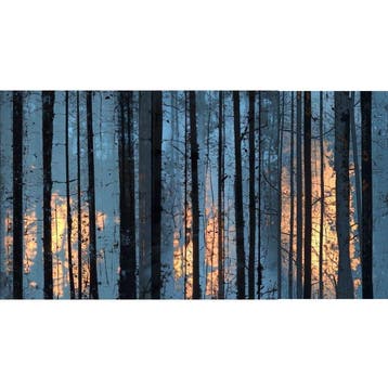 Jorge Omeñaca (1981) - Forest on fire - XL