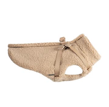 Teddy Hondenjas Khaki (Jassen, Hondenkleding), Ophalen of Verzenden, Nieuw, Hondenjas