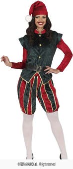 Kerst Elf Outfit Titanthia, Ophalen of Verzenden, Nieuw