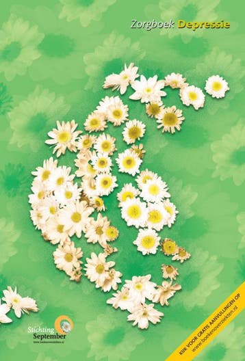 Depressie / Zorgboeken 9789086480937, Boeken, Verzenden, Gelezen