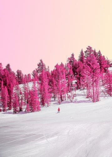 Téber - Frozen Memories (Strawberry) · XL