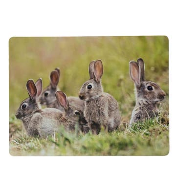 Placemat Konijnen familie 30x40cm (set van 4), Verzenden, Nieuw