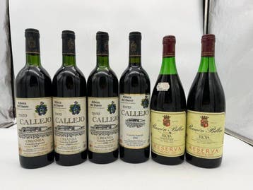 1989 Bodegas Félix Callejo -Ramón Bilbao Reserva 1985 -, Nieuw