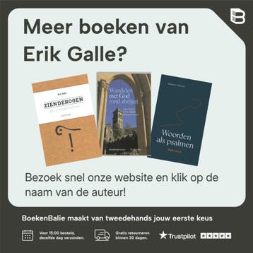 Voorbij het beeld - Erik Galle 9789085287018, Boeken, Verzenden, Zo goed als nieuw, Erik Galle