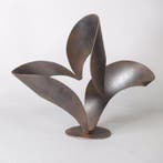 Fern - Curvif