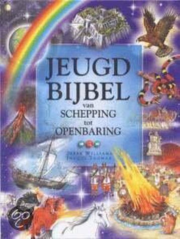 Jeugdbijbel - Derek Williams 9789026611223, Boeken, Verzenden, Zo goed als nieuw, Derek Williams