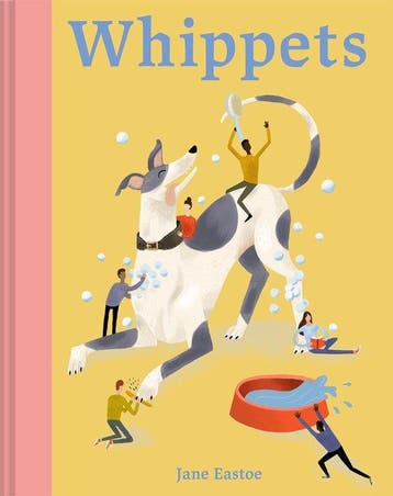 9781849947923 Illustrated Dog Care- Whippets | Tweedehands, Verzenden, Zo goed als nieuw, Jane Eastoe