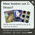 Verwiel schilderijen/paintings 03 04 05 9789078199021, Boeken, Verzenden, Gelezen, C. Straus