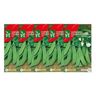 Erwtenzaad | VT | 5 stuks (Peulerwt), Tuin en Terras, Verzenden