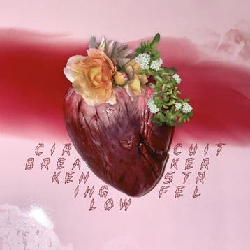 lp nieuw - ken stringfellow - CIRCUIT BREAKER (nieuw), Verzenden, Zo goed als nieuw, Overige formaten