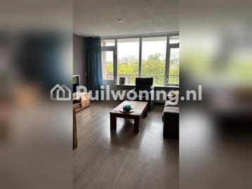Zwolle flat zoekt woning in Zwolle, Overijssel
