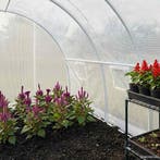 vidaXL Kas 9 m² 300x300x200 cm, Tuin en Terras, Kassen, Verzenden, Nieuw