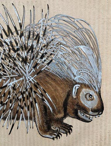 Conrad Gesner - Icones animalium quadrupedum uiuiparorum et