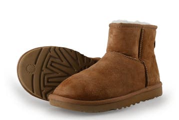 Ugg Enkellaarzen in maat 38 Bruin, Kleding | Dames, Bruin, Verzenden, Lage of Enkellaarzen, Zo goed als nieuw