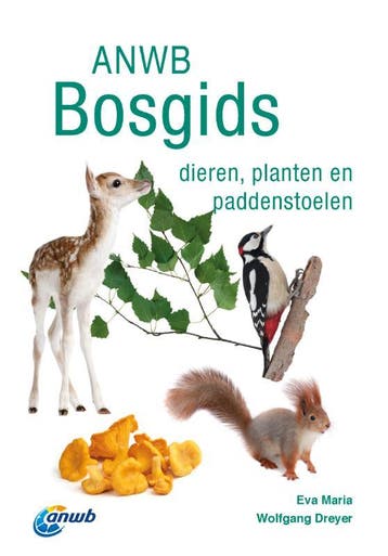 Bosgids | Eva-Maria Dreyer; Wolfgang Dreyer | Nieuw, Boeken, Ophalen of Verzenden, Nieuw, Eva-Maria Dreyer; Wolfgang Dreyer