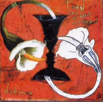 cd - Toad The Wet Sprocket - Dulcinea, Verzenden, Zo goed als nieuw