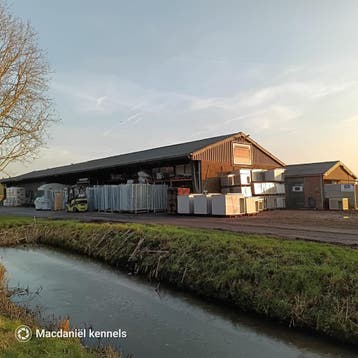 Kennelpanelen, kennels, grootste voorraad en snel geleverd!, Hondenkennel, 110 cm of meer, 100 cm of meer, Nieuw