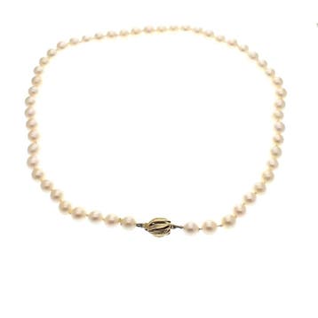 Antieke parelcollier met gouden slot (Ketting), Gebruikt, Ophalen of Verzenden, Met edelsteen, Goud