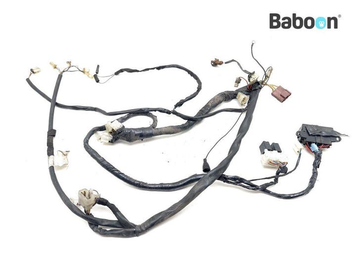 Kabelboom Aprilia ETV 1000 Caponord 2001-2003 (ETV1000), Motoren, Onderdelen | Overige, Gebruikt, Verzenden