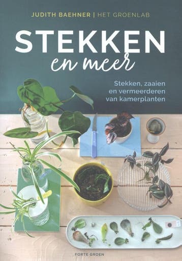 Stekken en meer - Judith Baehner 9789462502277, Verzenden, Zo goed als nieuw, Judith Baehner