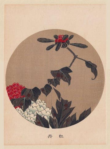 Jakuchu Ito: Tree Peony - from: Jakuchu gafu (picture