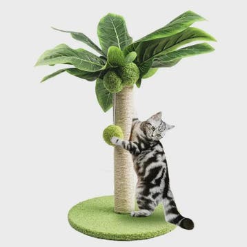Schattige Kattenkrabpaal met Bladeren en Sisal Touw - Speelp, Verzenden, Nieuw