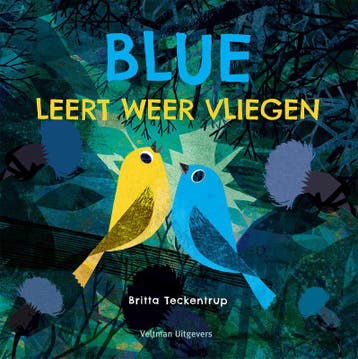 Blue leert weer vliegen - Britta Teckentrup 9789048318186, Verzenden, Zo goed als nieuw, Britta Teckentrup