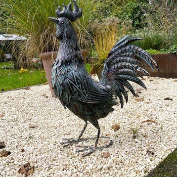 sculptuur, Prachtige haan - 56.5 cm - IJzer