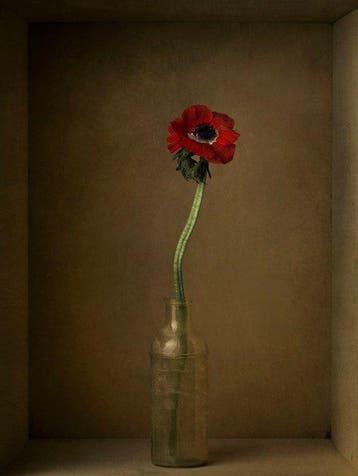 Tessa Posthuma de Boer - Stillife in a box #1