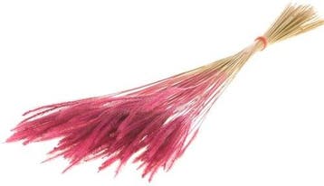 Soft Worms Grass alternatief voor Lagurus Pink, Huis en Inrichting, Ophalen of Verzenden, Nieuw