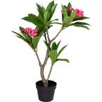 Kunstplant Plumeria 50x90 cm Roze/Groen (Decoratie), Verzenden, Nieuw