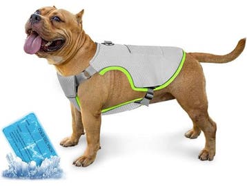 Veiling - Koelvest voor honden (XXL), Dieren en Toebehoren, Nieuw
