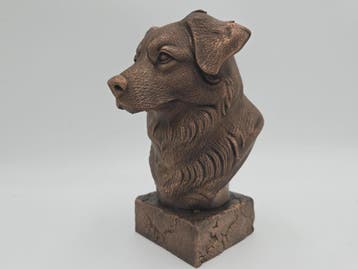 Bust of a Australien shepherd dog statue - home decor dog lo, Verzenden, Nieuw