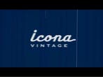 DeLonghi Icona Vintage CTOV2103.AZ - Broodrooster - Retro, Witgoed en Apparatuur, Broodroosters, Verzenden, Nieuw