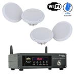 Outdoor Inbouwset Met WiFi Internet Radio En 4, Audio, Tv en Foto, Luidsprekers, Verzenden, Nieuw, Overige typen, Overige merken