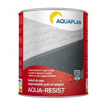 Aquaplan Aquaplan aqua resist waterdichte muurcoating 4 l, Verzenden, Nieuw