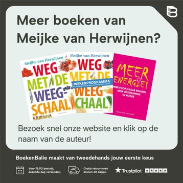 Meer energie! - Meijke van Herwijnen 9789049105785, Boeken, Verzenden, Gelezen, Meijke van Herwijnen