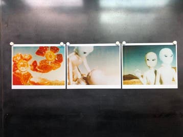 Stefanie Schneider - Aliens, triptych